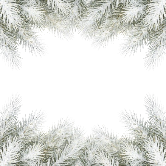 Snowy Pine Border